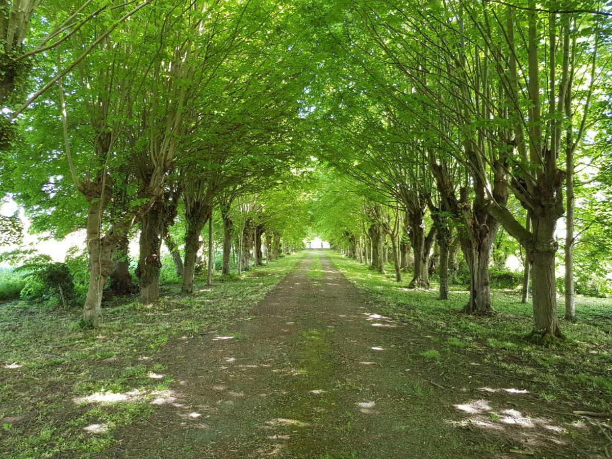 Domaine Du Manoir De Vains Hotel Bagian luar foto