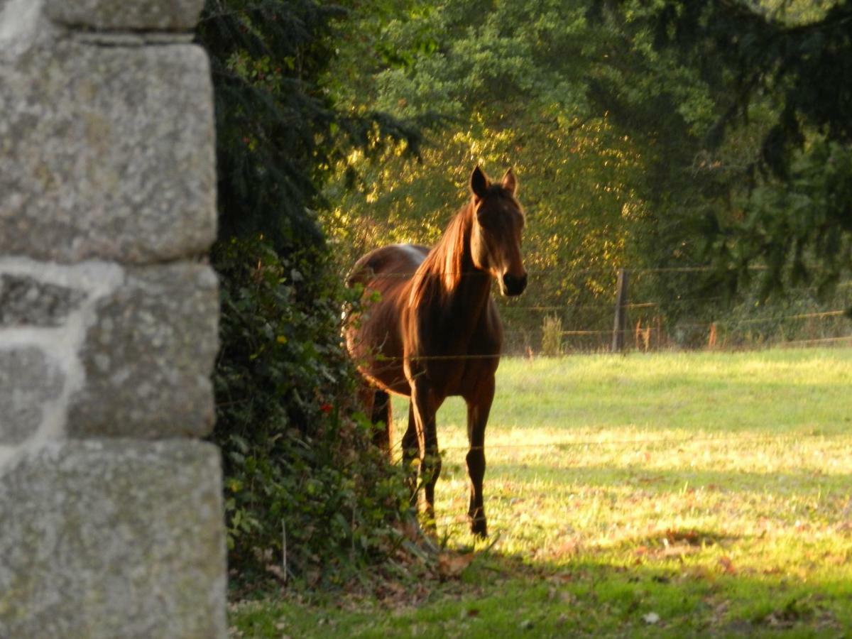 Domaine Du Manoir De Vains Hotel Bagian luar foto